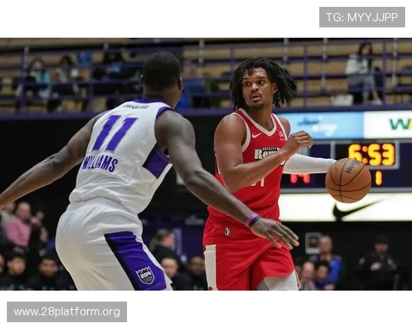 南宫体育ng官网在哪详细介绍及最新登录入口指南 南宫体育ng官网在哪详细介绍及最新登录入口指南