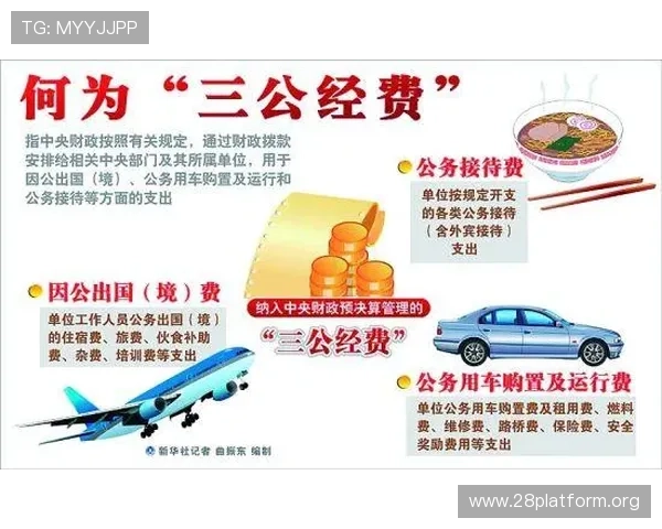 三公经费的定义与来源解析,了解政府公务支出中的三公经费内容 三公经费的定义与来源解析,了解政府公务支出中的三公经费内容